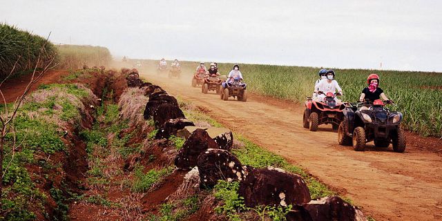 Full day quad bike discovery tour in the south (9)